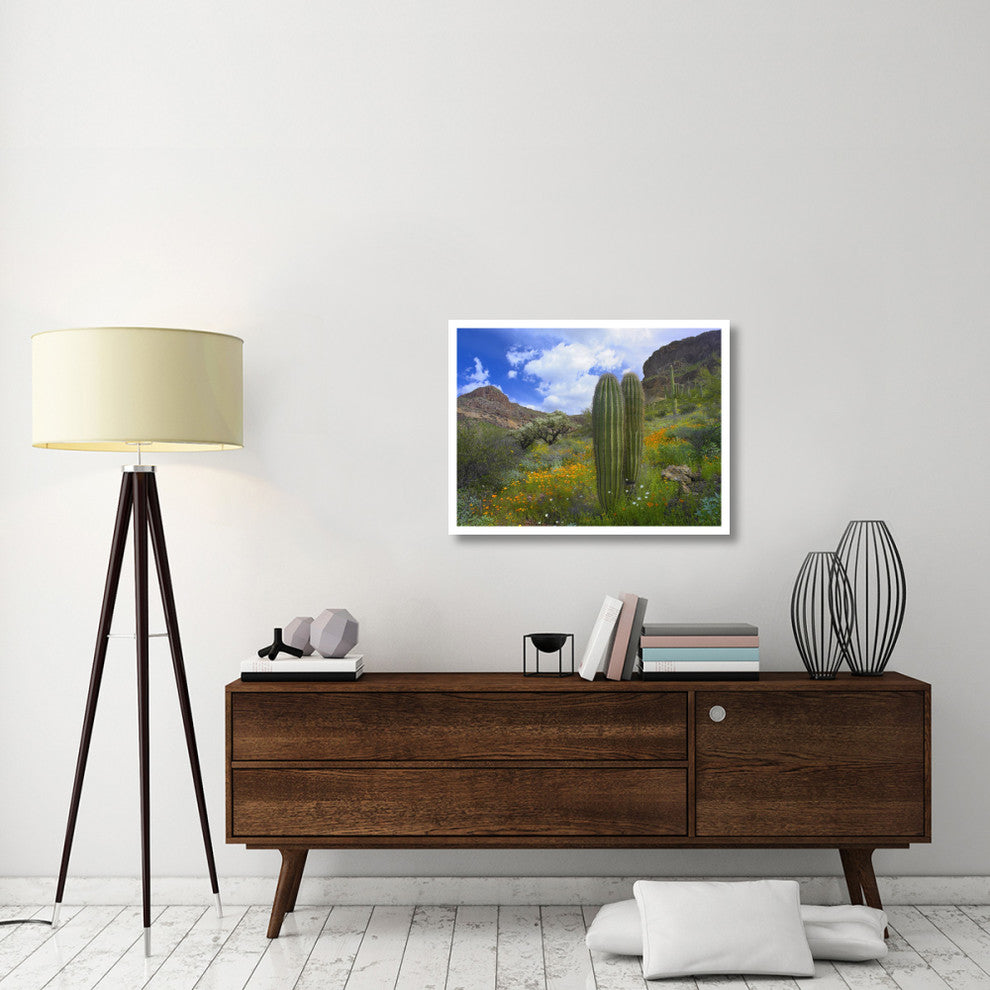 "Saguaro amid flowering Lupine, Organ Pipe Cactus Monument" Paper Art, 34"x26"