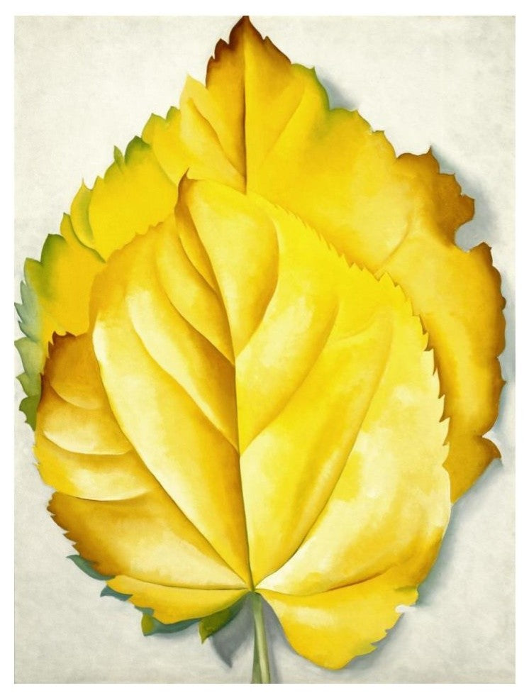 "2 Yellow Leaves (Yellow Leaves), 1928" Paper Print by Georgia O'Keeffe, 14"x18"