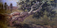 Fernando Cabrera Canto Paisaje, 15"x30" Wall Decal Print