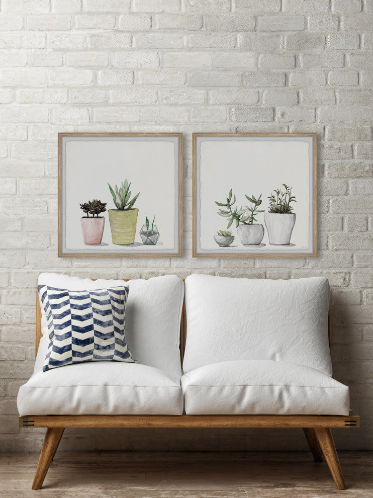 Vases of Succulents Diptych, Set of 2, 24x24 Panels