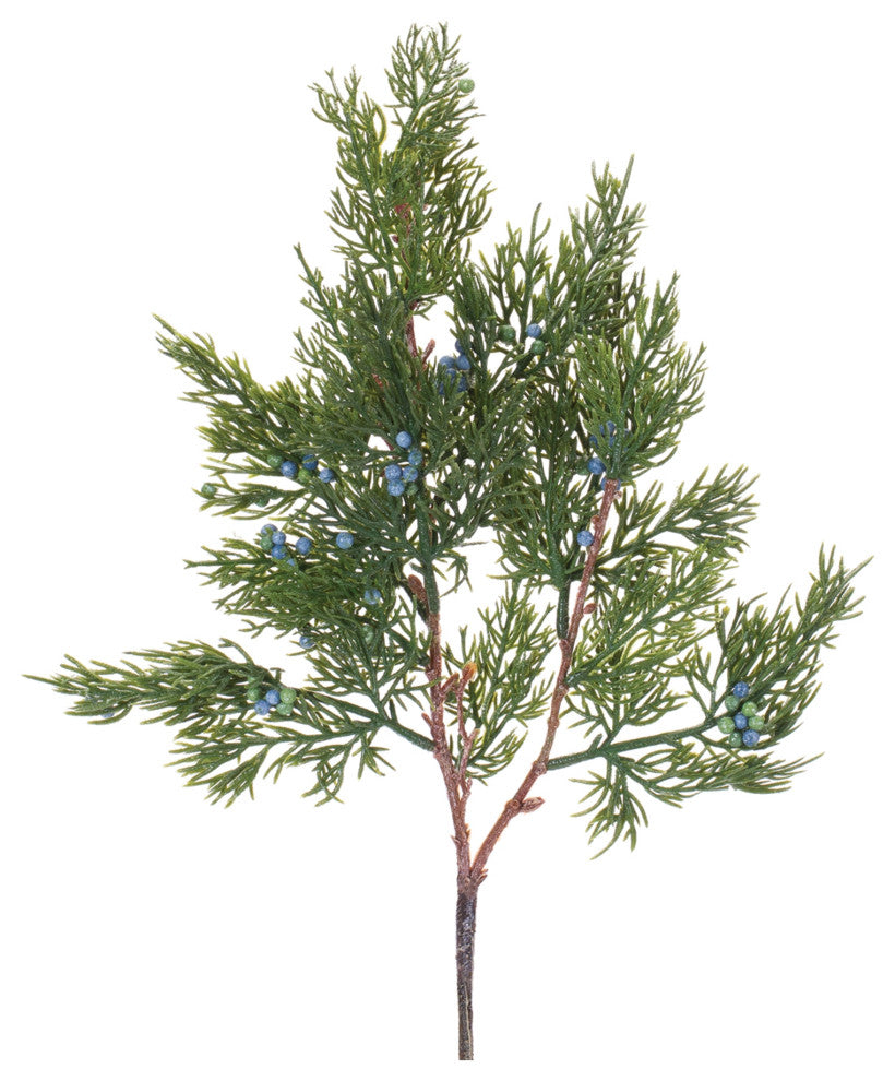 Pine Spray, Set of 12