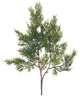 Pine Spray, Set of 12