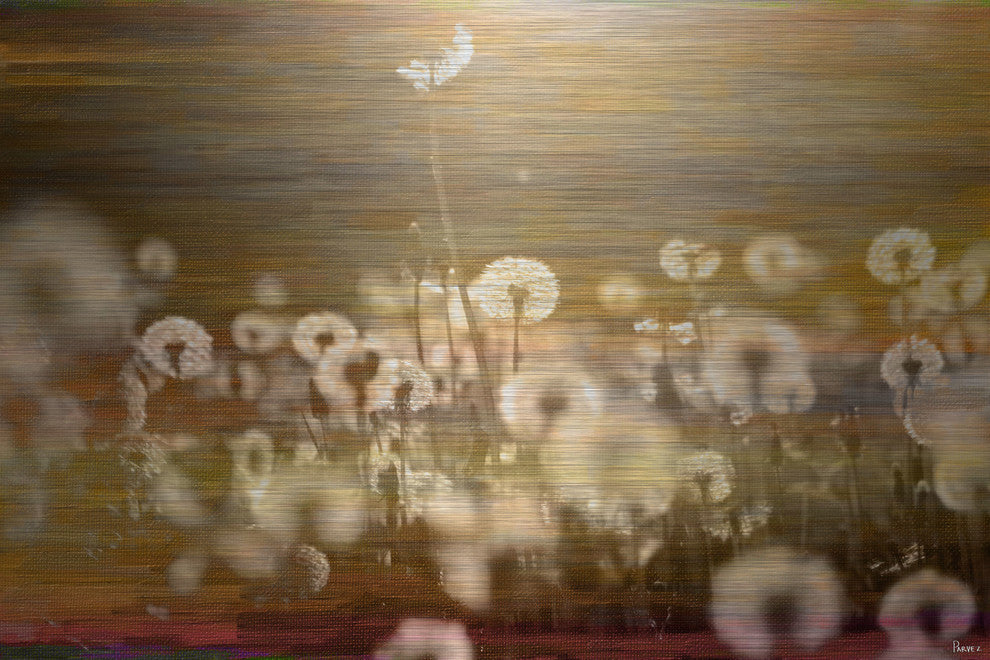 "Field" UV Ink Print on Brushed  Aluminum, 36"x24"