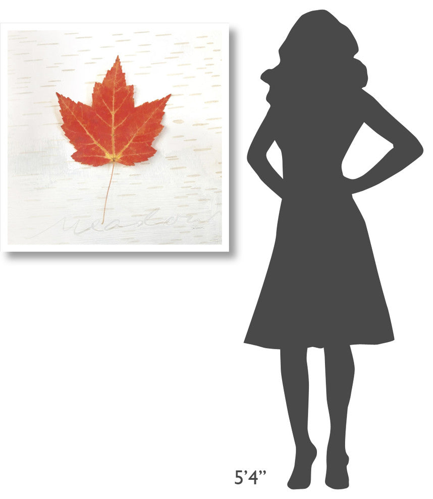 "Autumn Colors I" Digital Paper Print by Sue Schlabach, 32"x32"