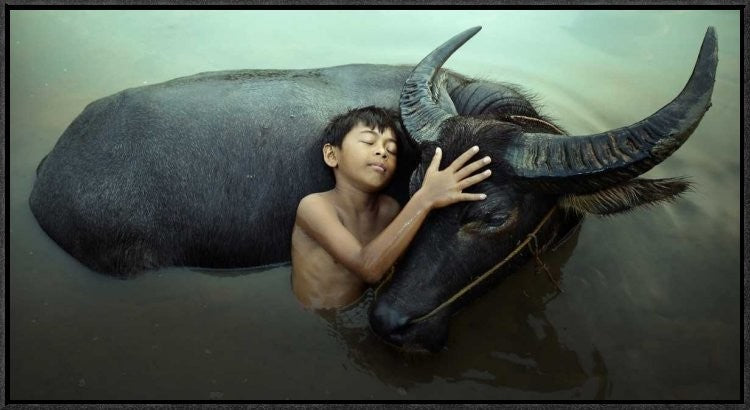 "Peaceful" Framed Canvas Giclee by Fahmi Bhs, 31x17"