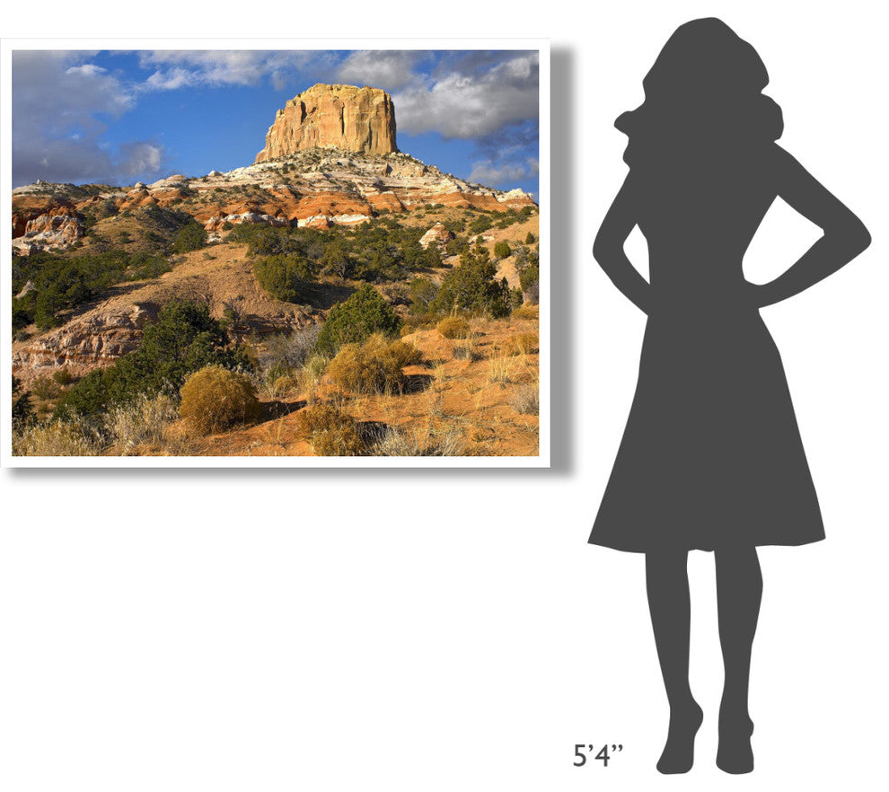 "Square Butte near Kaibito, Arizona" Paper Print by Tim Fitzharris, 50"x38"