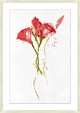 Red Flowers 1, Giclee Reproduction Artwork
