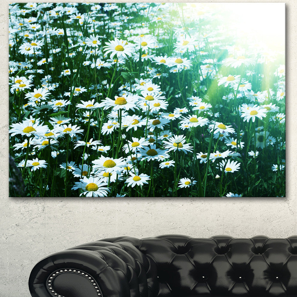 Sunny Garden with Cute White Flowers, Floral Canvas Art Print, 40"x30"