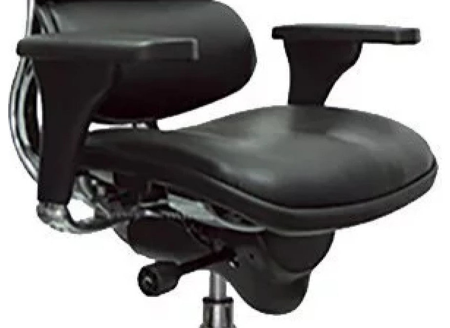 Modern Office Chair, Plush Leather Seat With Lumbar Support & Headrest, Black