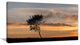 "Lonely Tree Silhouette Leftwards" Canvas Print