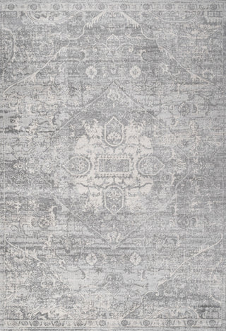 Modern Persian Vintage Medallion Light Gray 3'x5' Area Rug