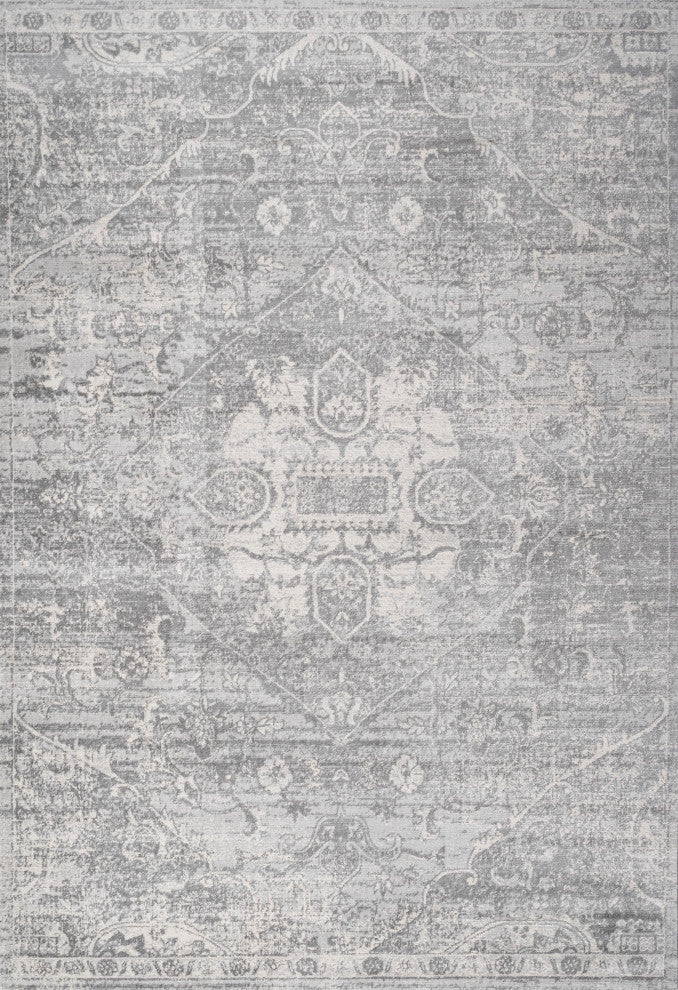 Modern Persian Vintage Medallion Light Gray 3'x5' Area Rug
