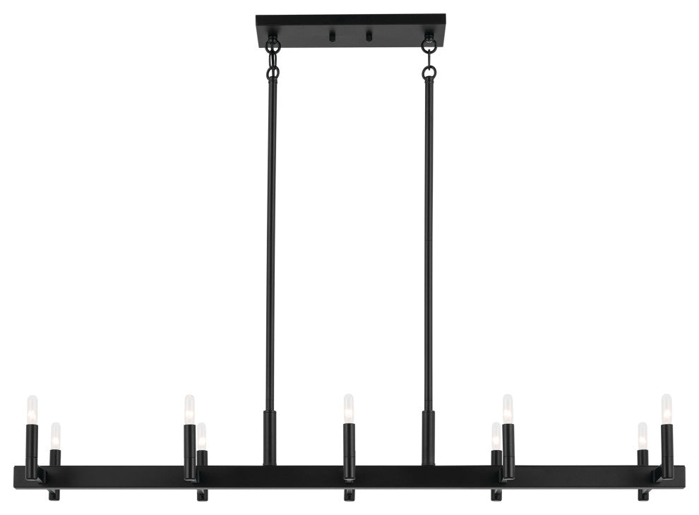 Erzo 50" 10 Light Linear Chandelier, Black
