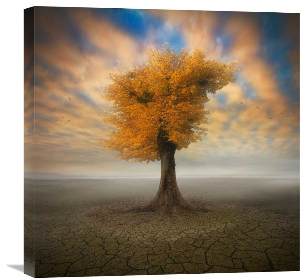 "Lonesome" Stretched Canvas Giclee by Piotr (Bax) Krol, 22"x22"