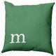 20"x20" Modern Monogram Decorative Throw Pillow, Sage