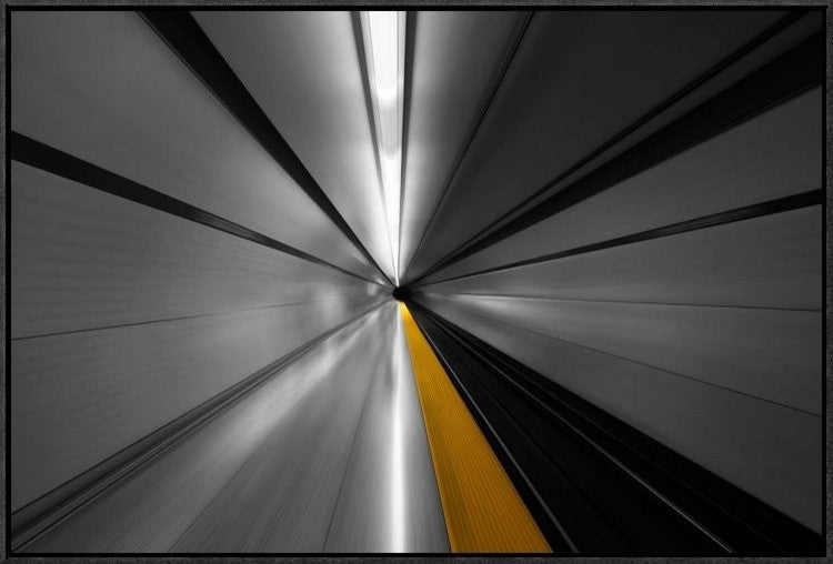 "The Power Of Speed" Framed Canvas Giclee by Roland Shainidze, 31x21"