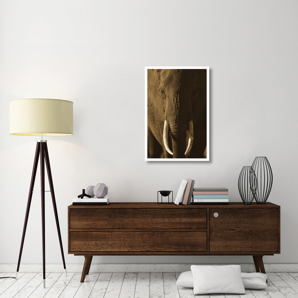 "African Elephant male portrait with long tusks, Kenya" Paper Art, 26"x38"