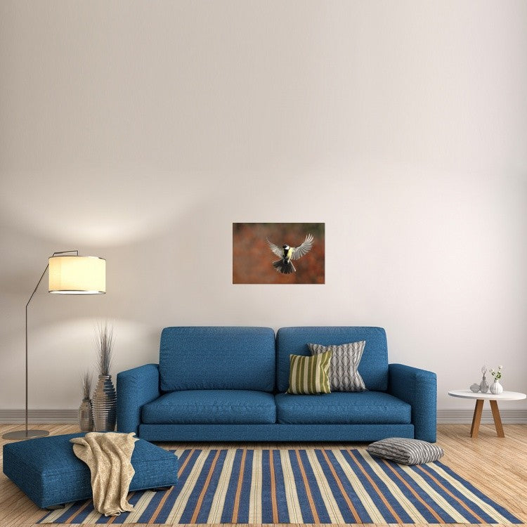 "Fly" Stretched Canvas Giclee by Barre Thierry, 30"x20"