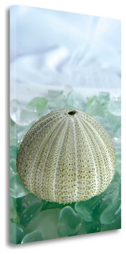 23" Sea Urchin and Green Seaglass Giclee Wrap Canvas Wall Art