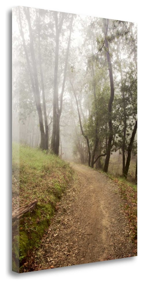 "Oak Tree - 19" By Alan Blaustein, Giclee Print on Gallery Wrap Canvas