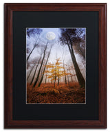 'Sentinel' Matted Framed Canvas Art by Philippe Sainte-Laudy