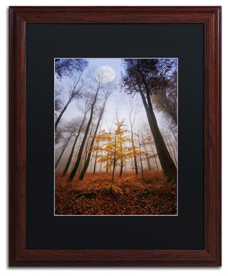 'Sentinel' Matted Framed Canvas Art by Philippe Sainte-Laudy