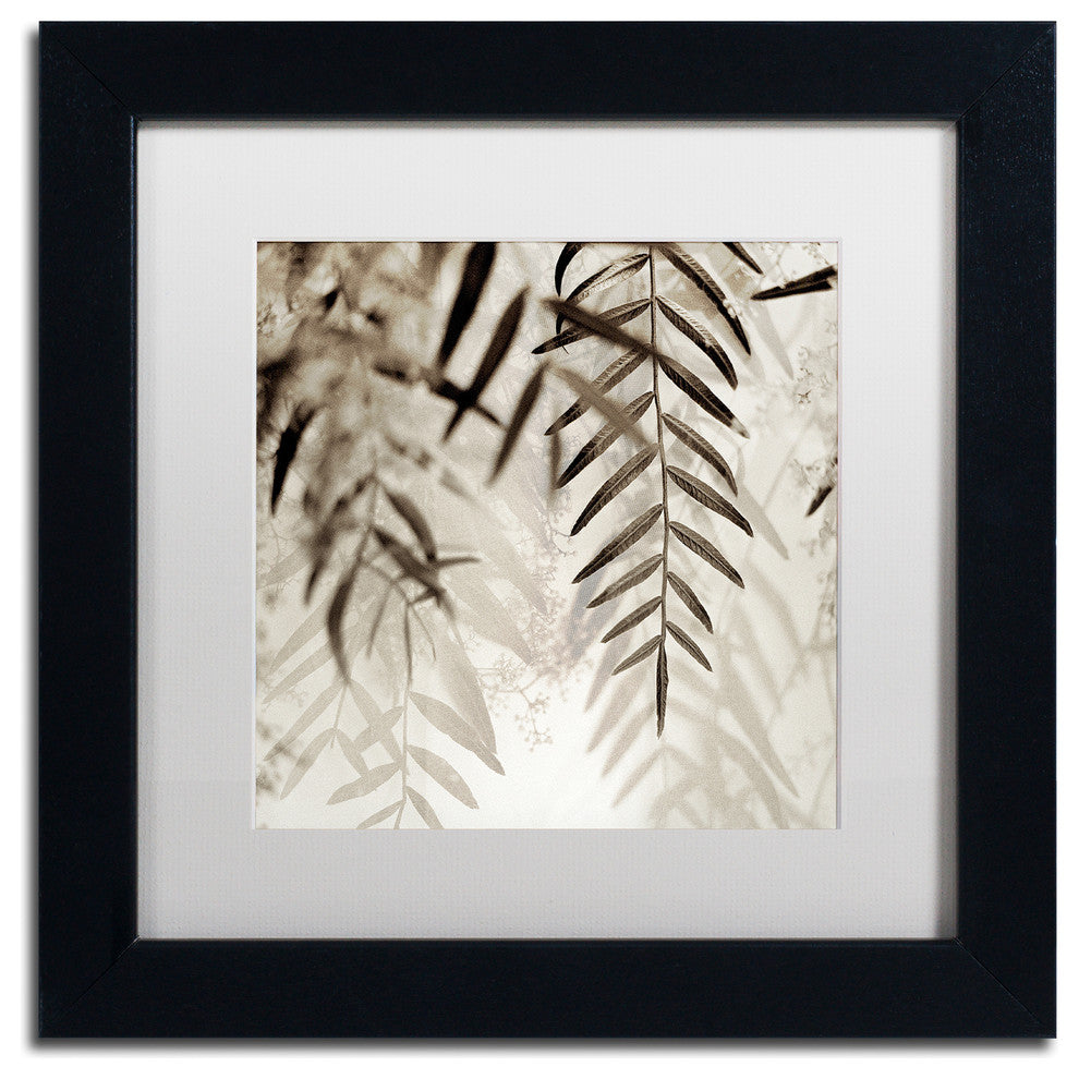 Alan Blaustein 'Florison 56' Art, Black Frame, White Mat, 11x11