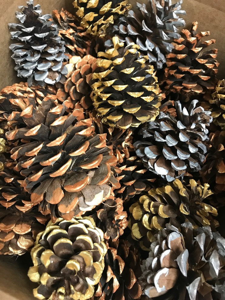 Gold Tipped Ponderosa Pine Cones, 50-Piece Set