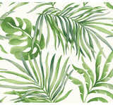 Green Paradise Palm Wallpaper