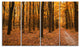 Yellow Trees and Fallen Leaves, Modern Forest Canvas Art, 48"x28", 4 Panels