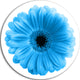 Isolated Blue Flower, Floral Art Round Metal Wall Art, 11"