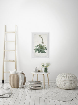 "Aletris Fragrans" Framed Painting Print, 30"x45"