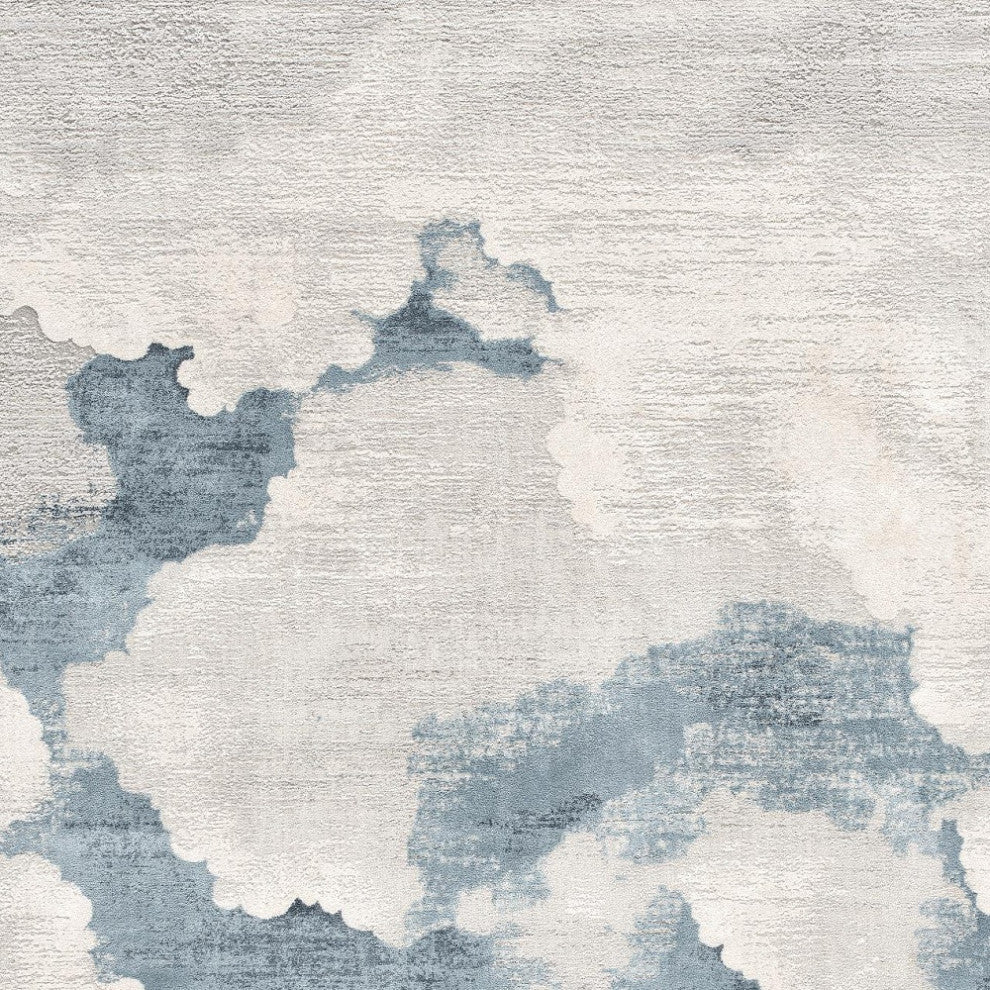 4"x6" Gray and Blue Abstract Clouds Area Rug