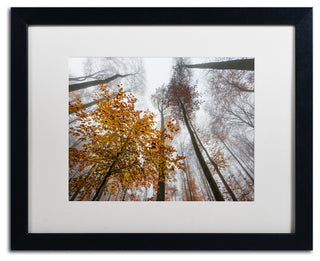 'Daydreamer' Matted Framed Canvas Art by Philippe Sainte-Laudy