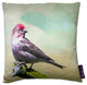 Traveller Designer Pillow, The Fable Collection