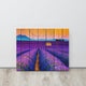 Faux Wood Lavender Fields and Sunset Landscape Canvas Prints, 16" X 20"