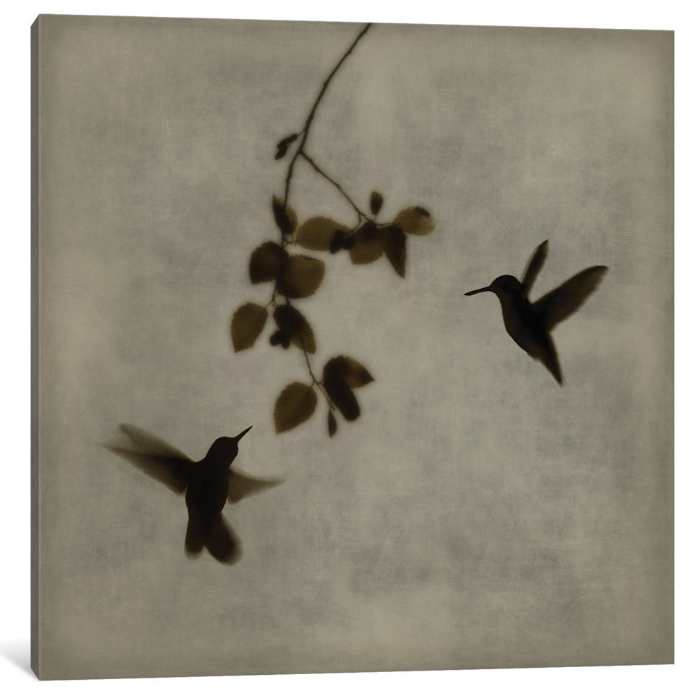 "Dance In Flight II" by Chris Donovan, Canvas Print, 12"x12"