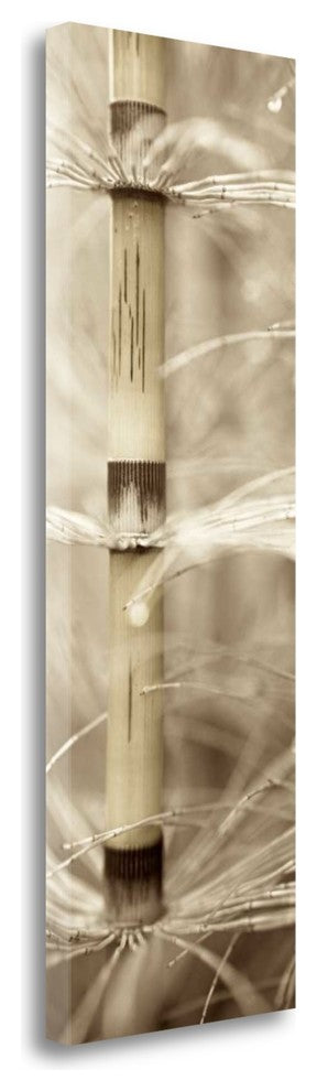 "Florison - 93" By Alan Blaustein, Giclee Print on Gallery Wrap Canvas