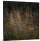 "Soft Light" Wrapped Canvas Art Print, 24"x24"x1.5"