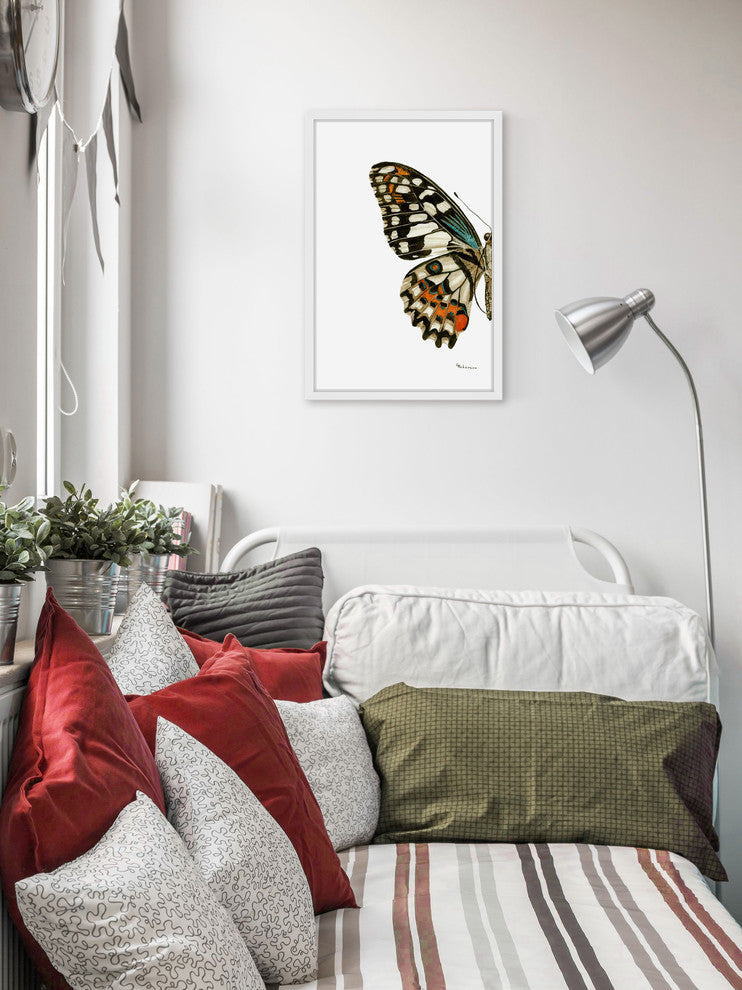 "Papilio Demoleus Lime Swallowtail" Framed Painting Print, 12"x18"