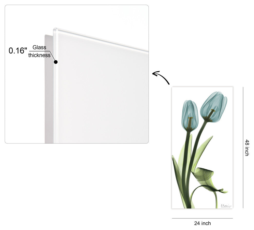 "Blue Tulips" Frameless Free Floating Panel Graphic Wall Art, 24"x48"