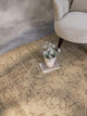 Outdoor Persian Accent Rug - Bacteria Resistant Rug, Neutral, 5'3"x7'6"