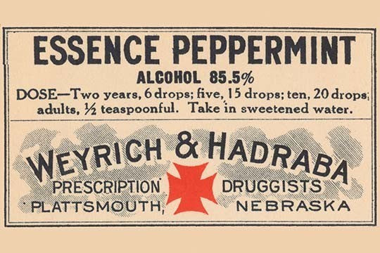 Essence Peppermint - Gallery Wrapped Canvas Art 28" x 42"