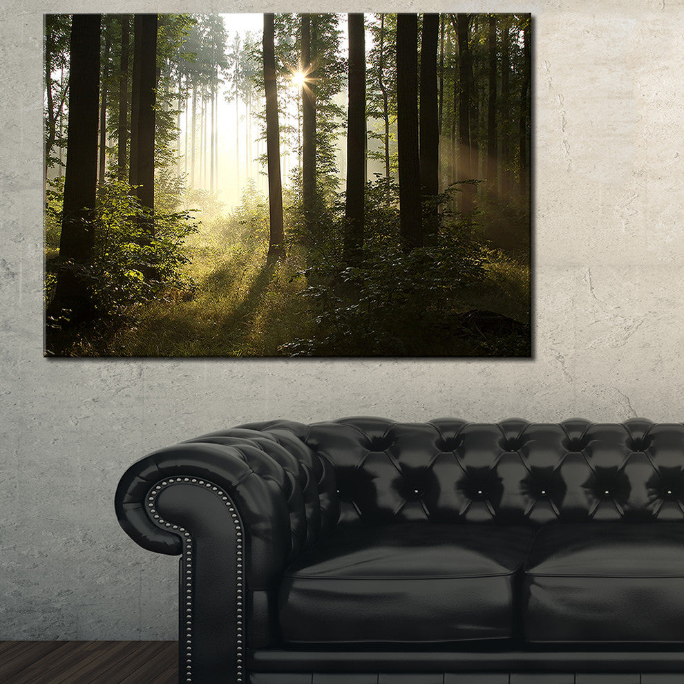 "Early Morning Sun in Misty Forest" Landscape Canvas Photo Print, 40"x20"