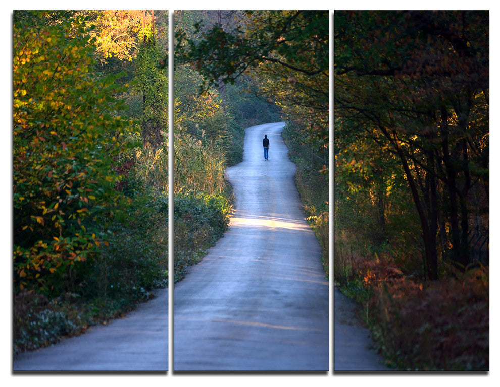 "Walking Alone on Road" Photo Canvas Art Print, 3 Panels, 36"x28"