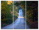 "Walking Alone on Road" Photo Canvas Art Print, 3 Panels, 36"x28"