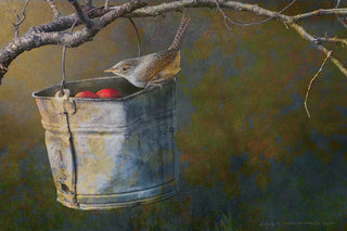 "Apple Bucket Wren" Print on Canvas by Chris Vest