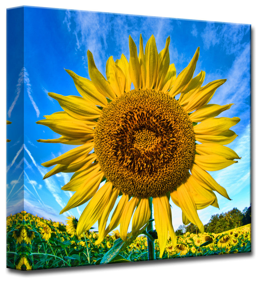 Ready2HangArt 'Bright & Tall' by Christopher Doherty