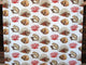 Tropical Red Coral Fabric Conch Seashell, Sample Cut
