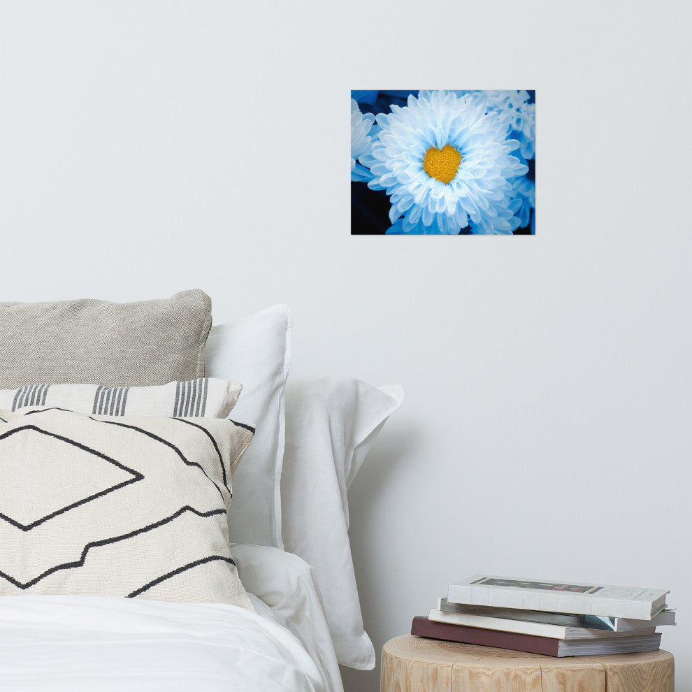 Blue Tinted Chrysanthemums Floral Nature Photo Loose Wall Art Print, 11" X 14"